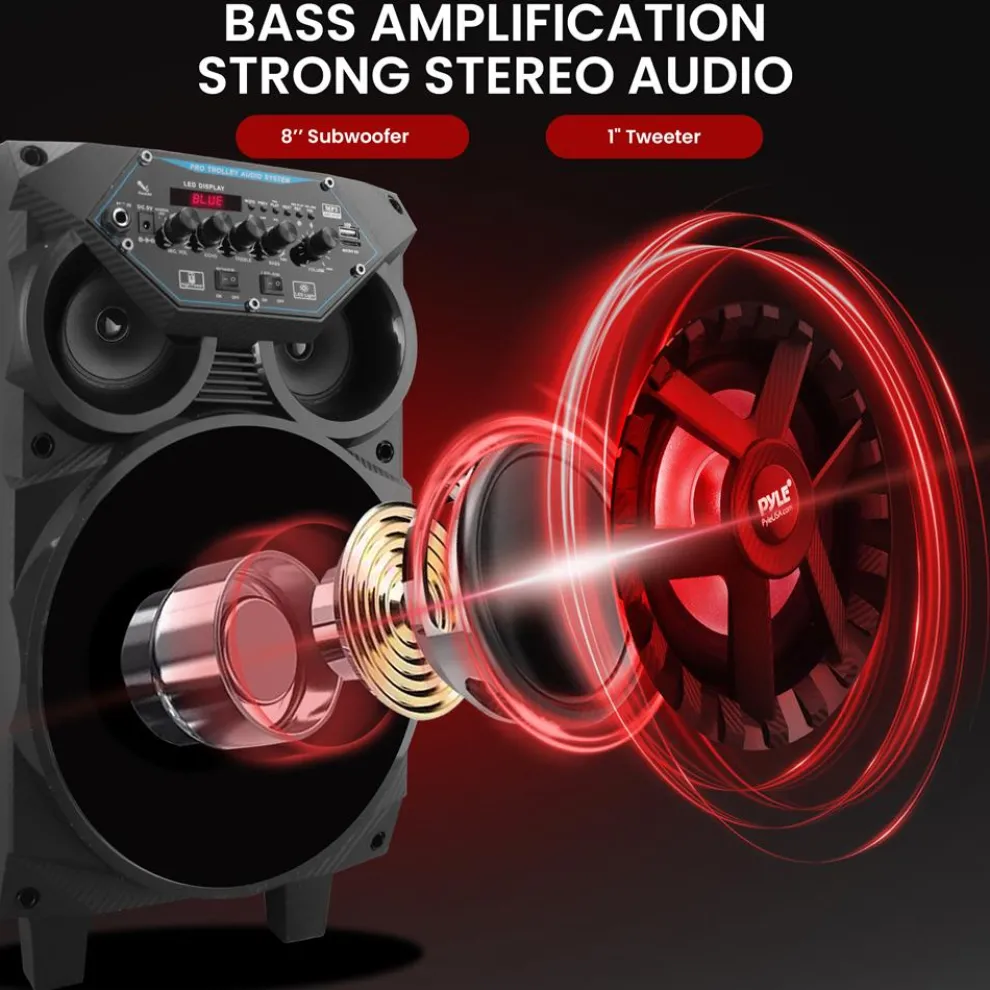 8” Portable Pa Speaker