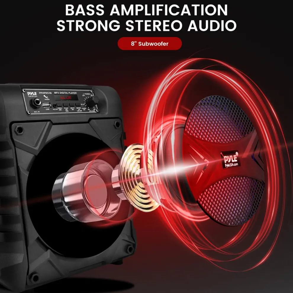 8” Portable Pa Speaker