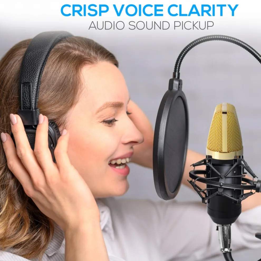 Cardioid Condenser Mic Kit - Crisp Audio, Large Diaphragm, Easy Setup