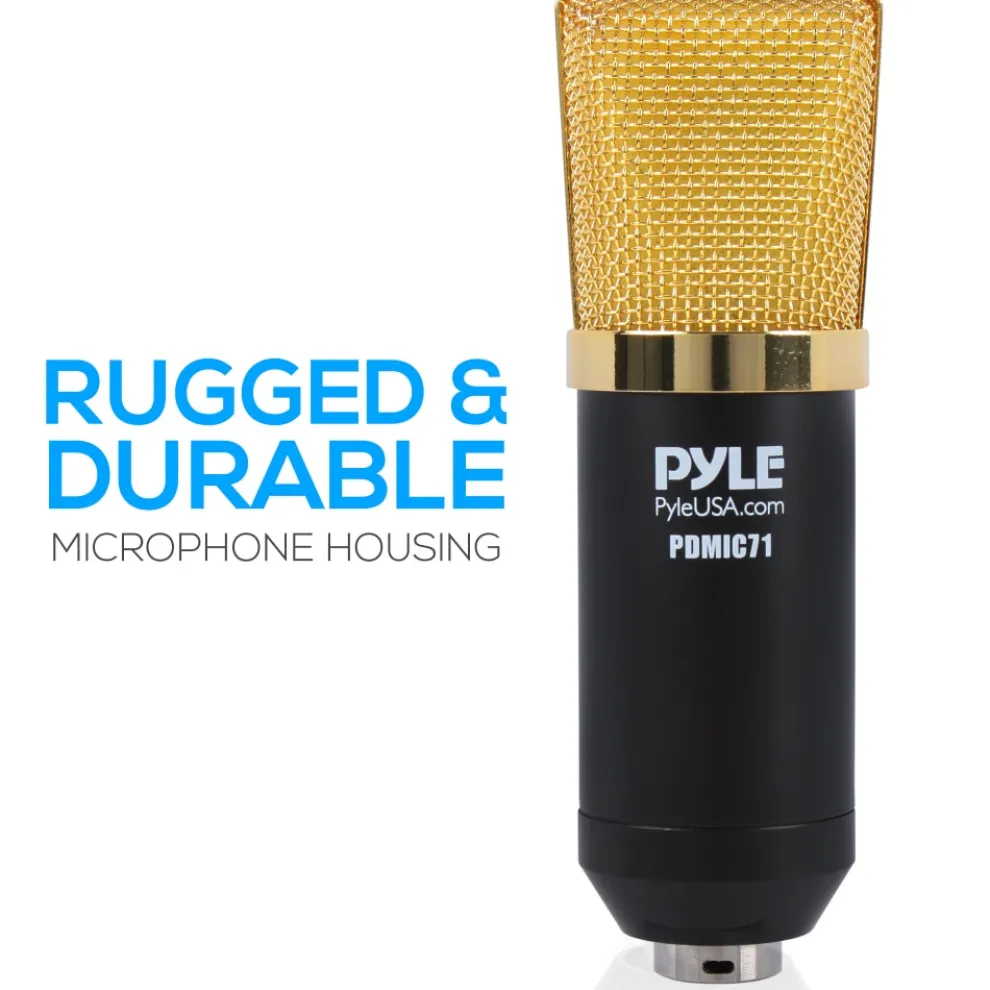 Cardioid Condenser Mic Kit - Crisp Audio, Large Diaphragm, Easy Setup