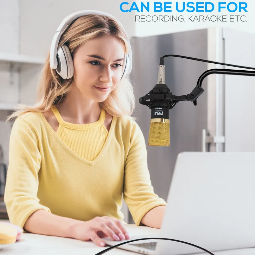 Cardioid Condenser Mic Kit - Crisp Audio, Large Diaphragm, Easy Setup