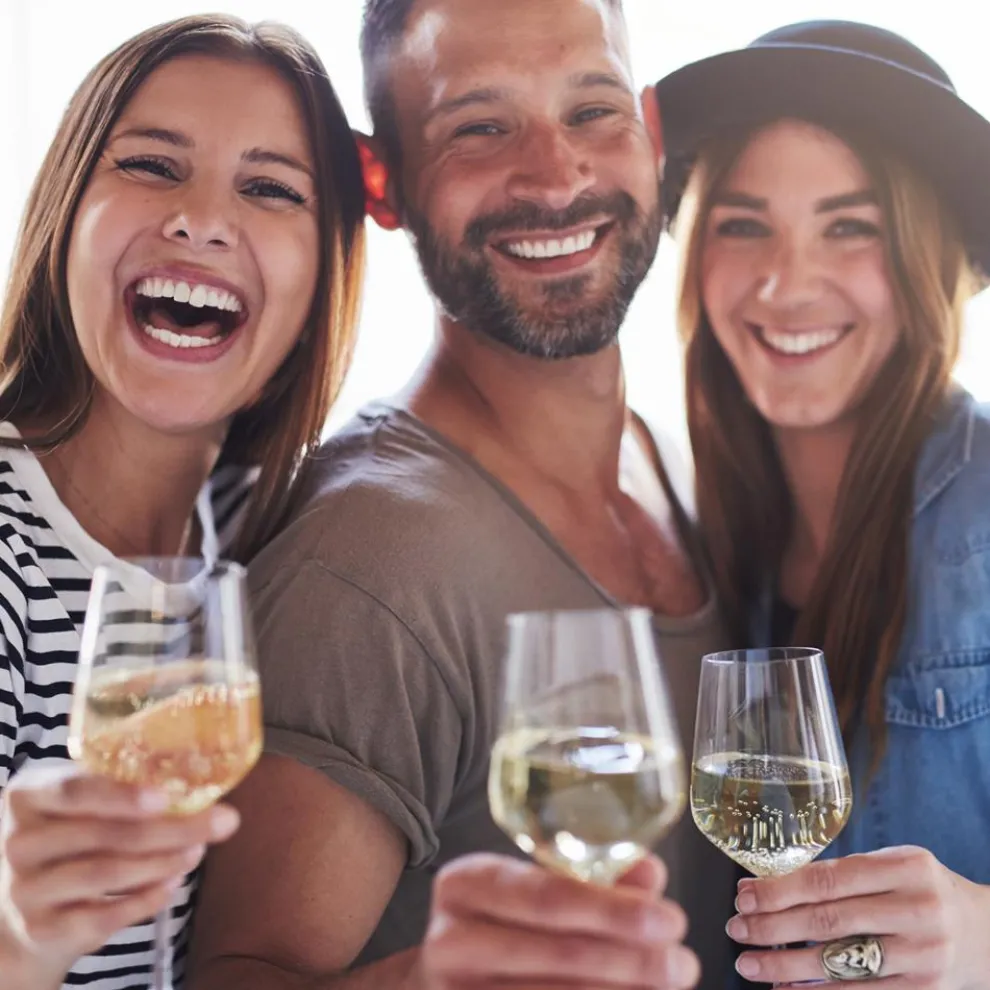 Crystal Wine Glasses - Elegant Design, Lead-Free Crystal, Dishwasher Safe