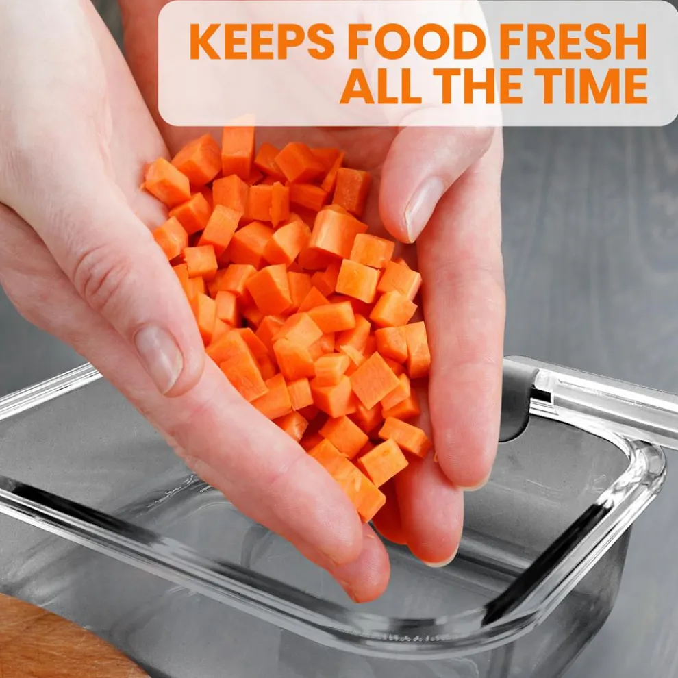 High Borosilicate Glass Food Container