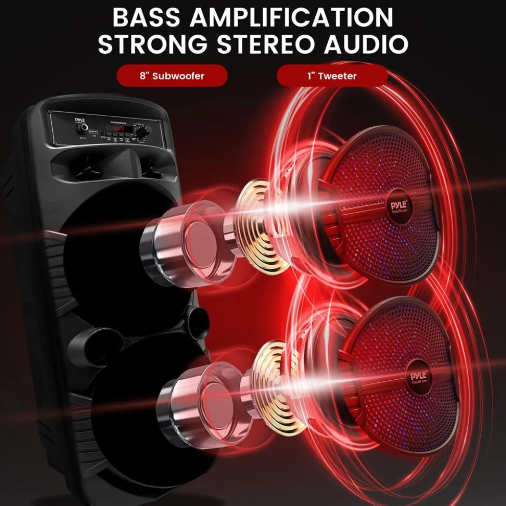 Portable Bluetooth PA Speaker 600W Rechargeable Dual 8