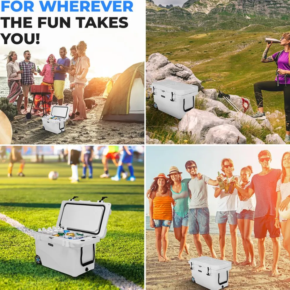 Portable Cooler Box