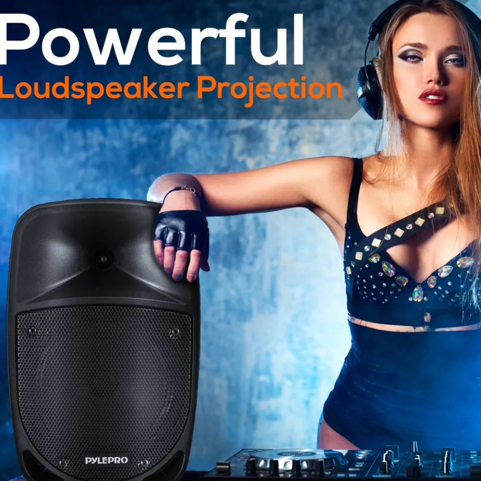 Portable Pa Speaker & Microphone System