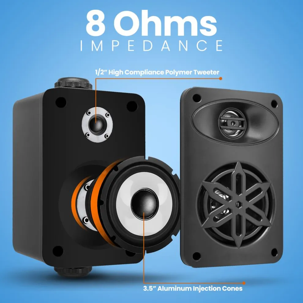 2-Way Indoor/Outdoor Speaker System