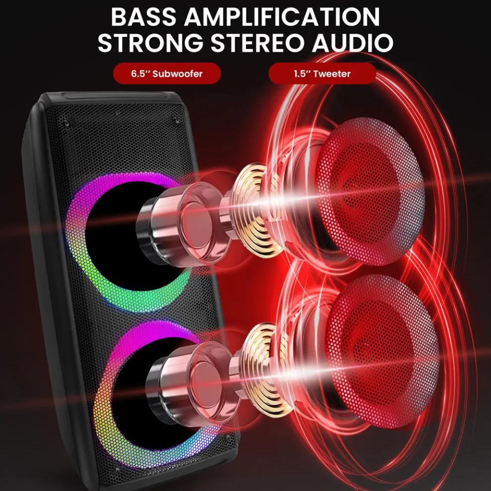 Wireless Pa Loudspeaker System